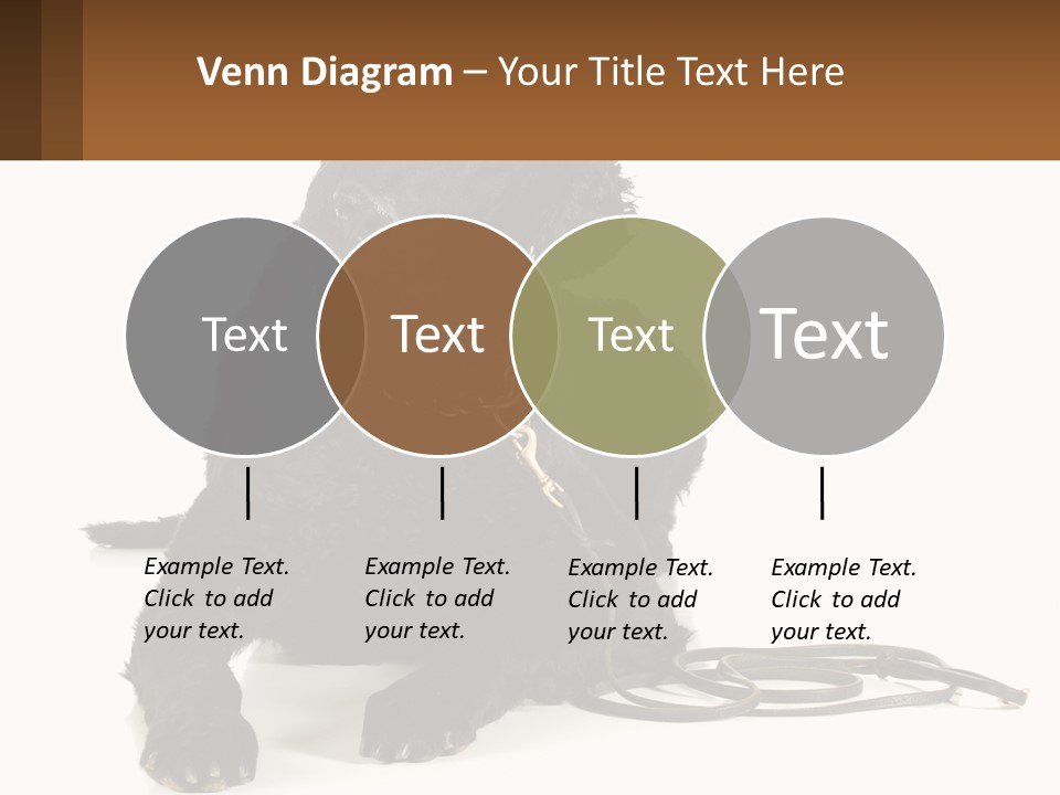 A Black Dog With A Leash On A White Background PowerPoint Template