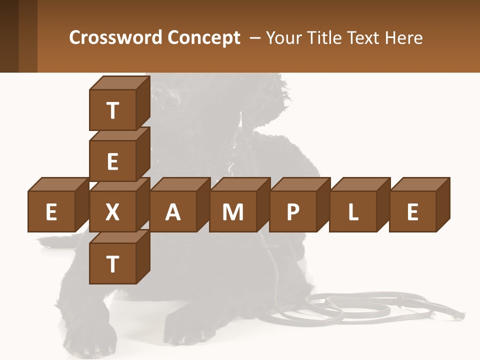 A Black Dog With A Leash On A White Background PowerPoint Template