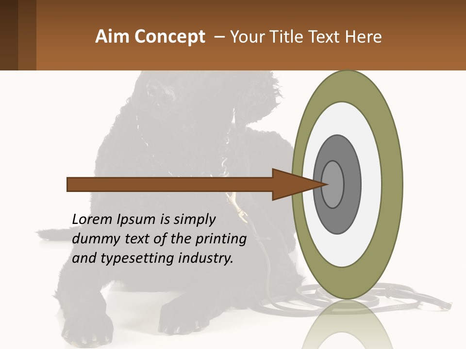 A Black Dog With A Leash On A White Background PowerPoint Template