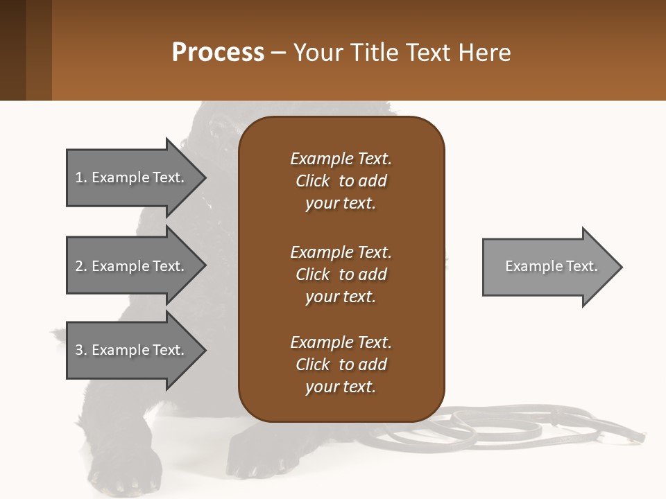 A Black Dog With A Leash On A White Background PowerPoint Template