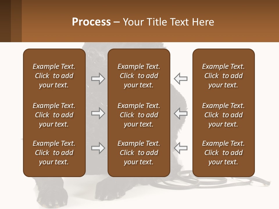 A Black Dog With A Leash On A White Background PowerPoint Template