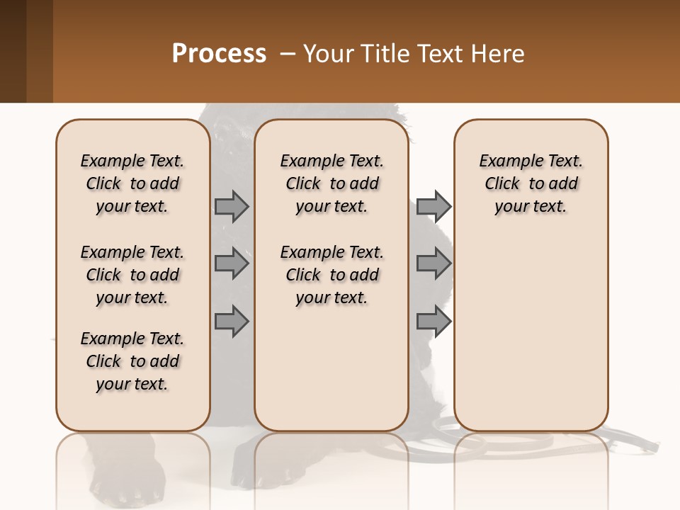 A Black Dog With A Leash On A White Background PowerPoint Template
