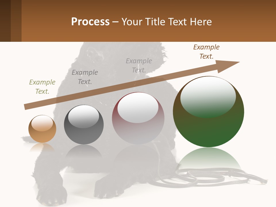 A Black Dog With A Leash On A White Background PowerPoint Template