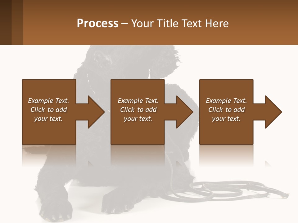 A Black Dog With A Leash On A White Background PowerPoint Template