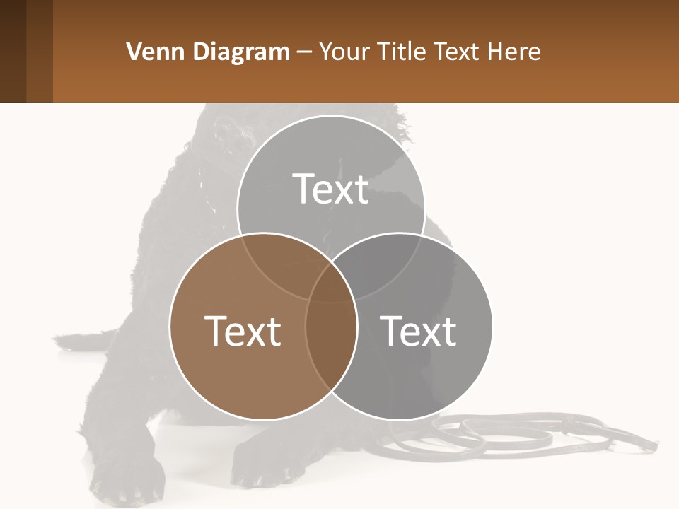 A Black Dog With A Leash On A White Background PowerPoint Template