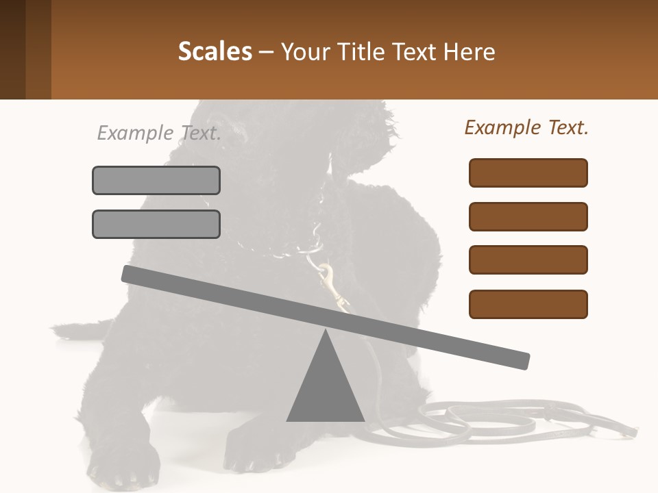 A Black Dog With A Leash On A White Background PowerPoint Template