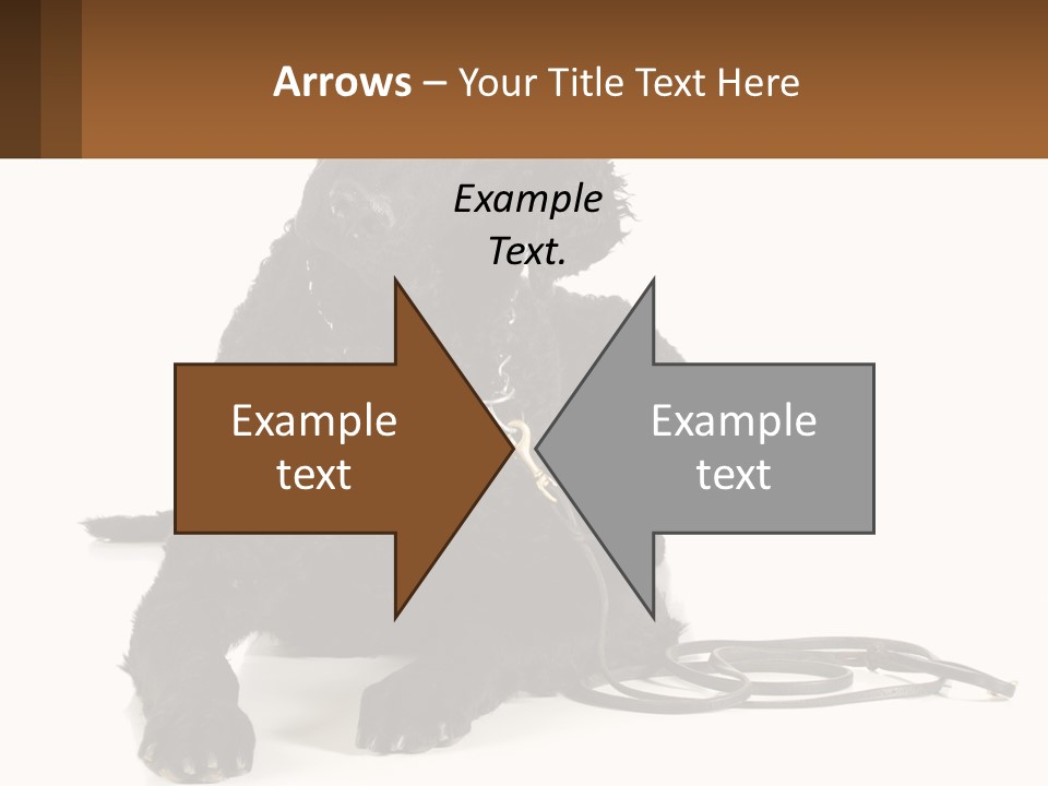 A Black Dog With A Leash On A White Background PowerPoint Template