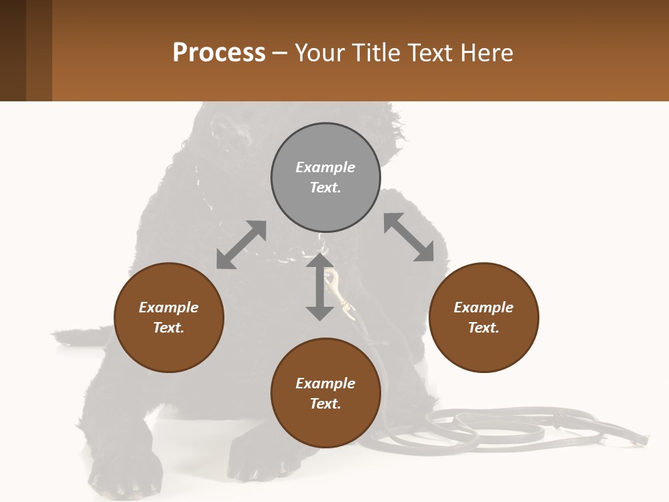 A Black Dog With A Leash On A White Background PowerPoint Template