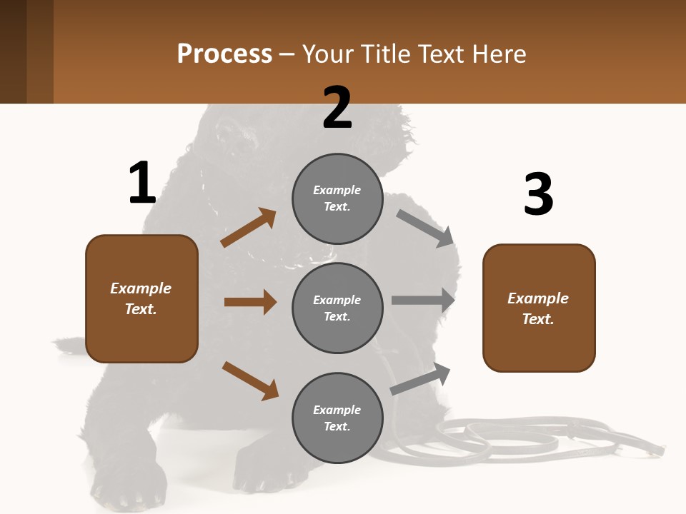 A Black Dog With A Leash On A White Background PowerPoint Template