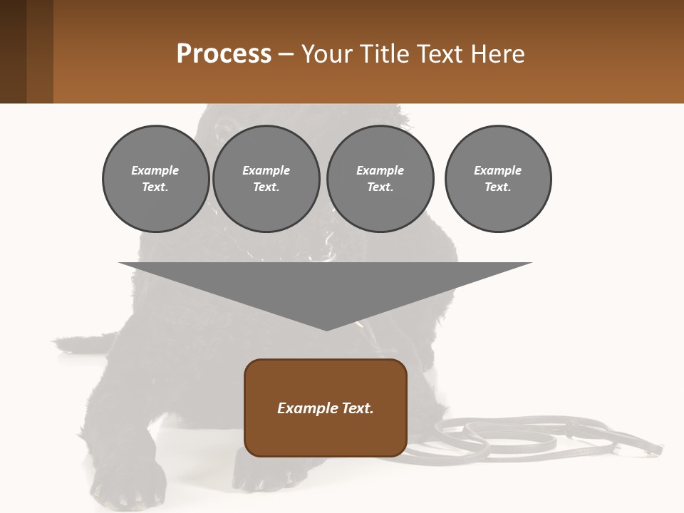 A Black Dog With A Leash On A White Background PowerPoint Template