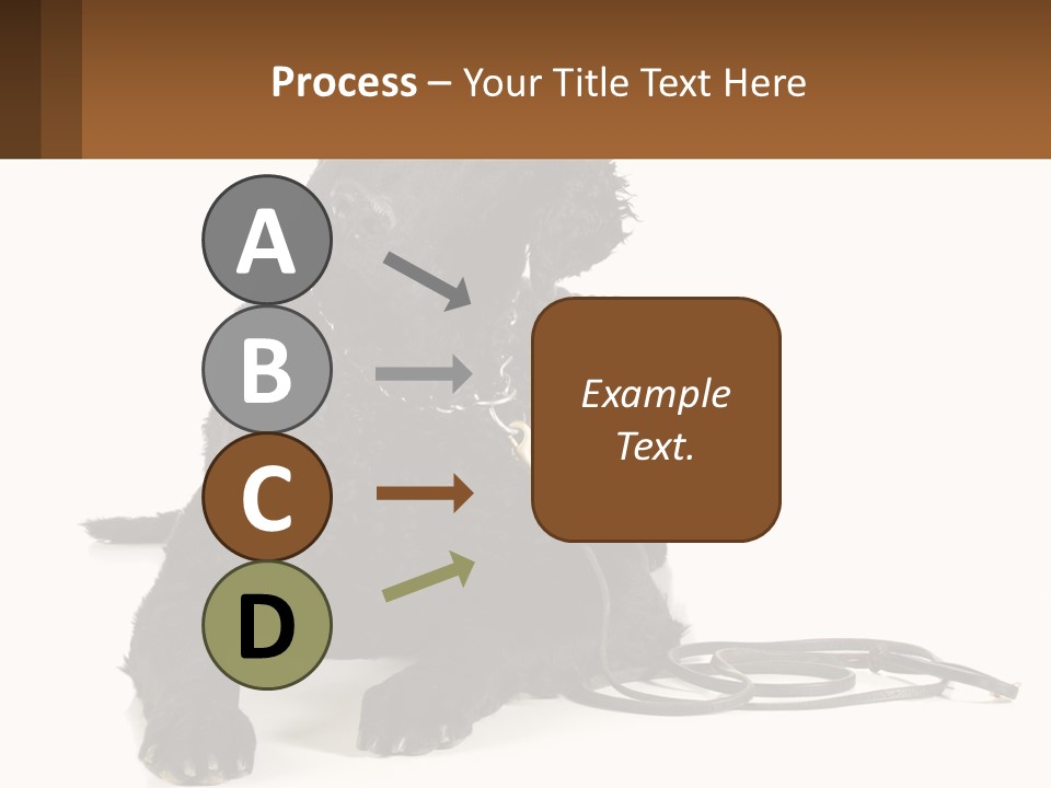 A Black Dog With A Leash On A White Background PowerPoint Template