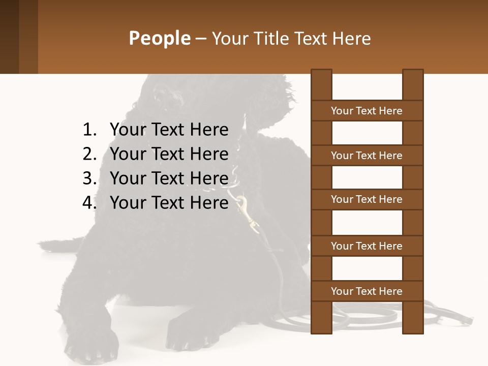 A Black Dog With A Leash On A White Background PowerPoint Template