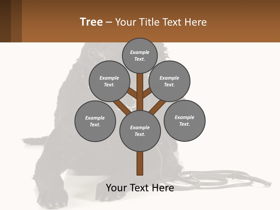 A Black Dog With A Leash On A White Background PowerPoint Template