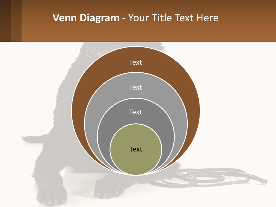 A Black Dog With A Leash On A White Background PowerPoint Template