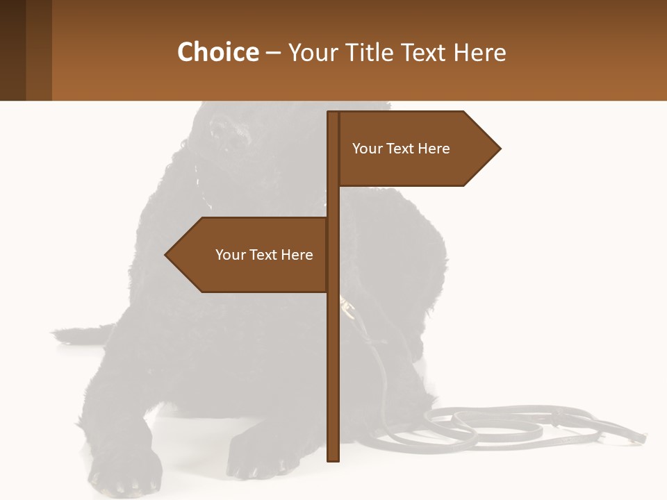 A Black Dog With A Leash On A White Background PowerPoint Template