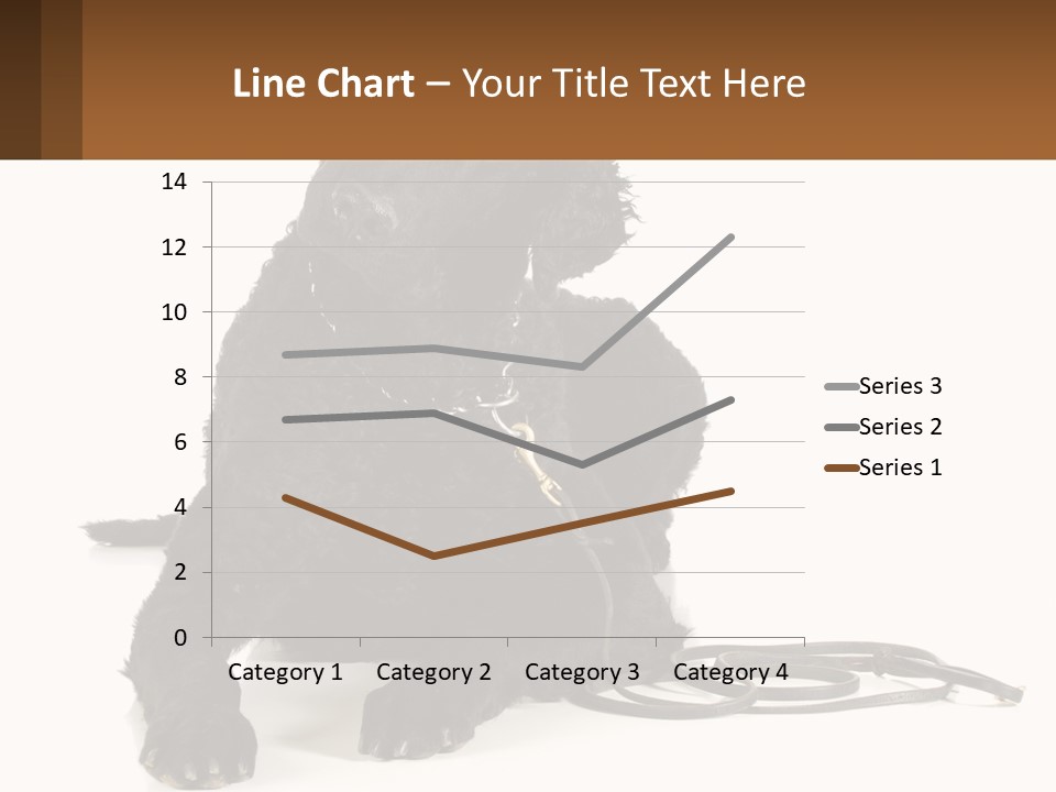 A Black Dog With A Leash On A White Background PowerPoint Template