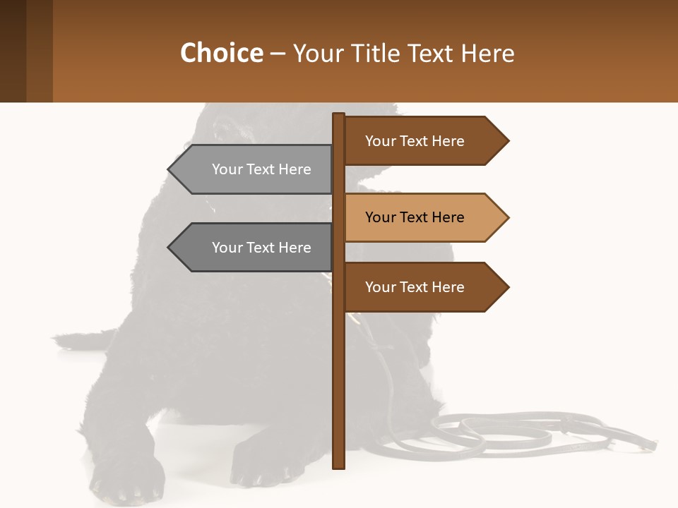 A Black Dog With A Leash On A White Background PowerPoint Template