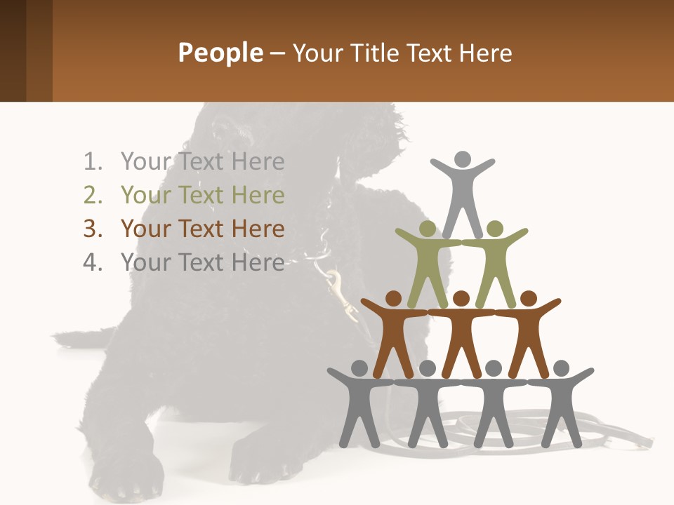 A Black Dog With A Leash On A White Background PowerPoint Template