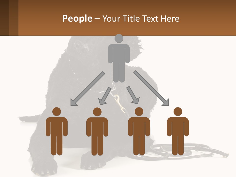 A Black Dog With A Leash On A White Background PowerPoint Template