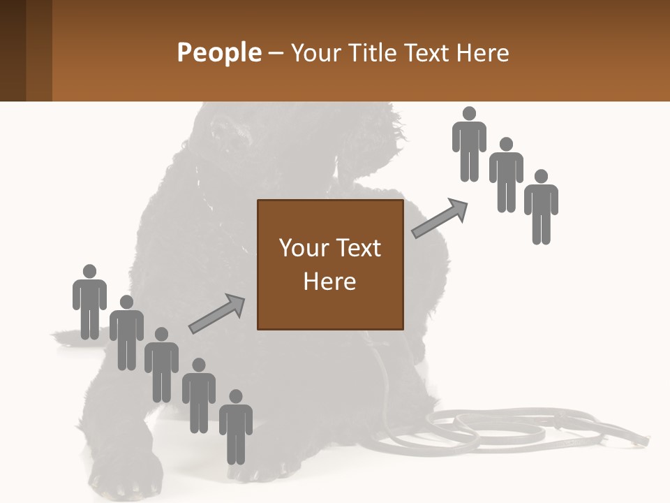 A Black Dog With A Leash On A White Background PowerPoint Template