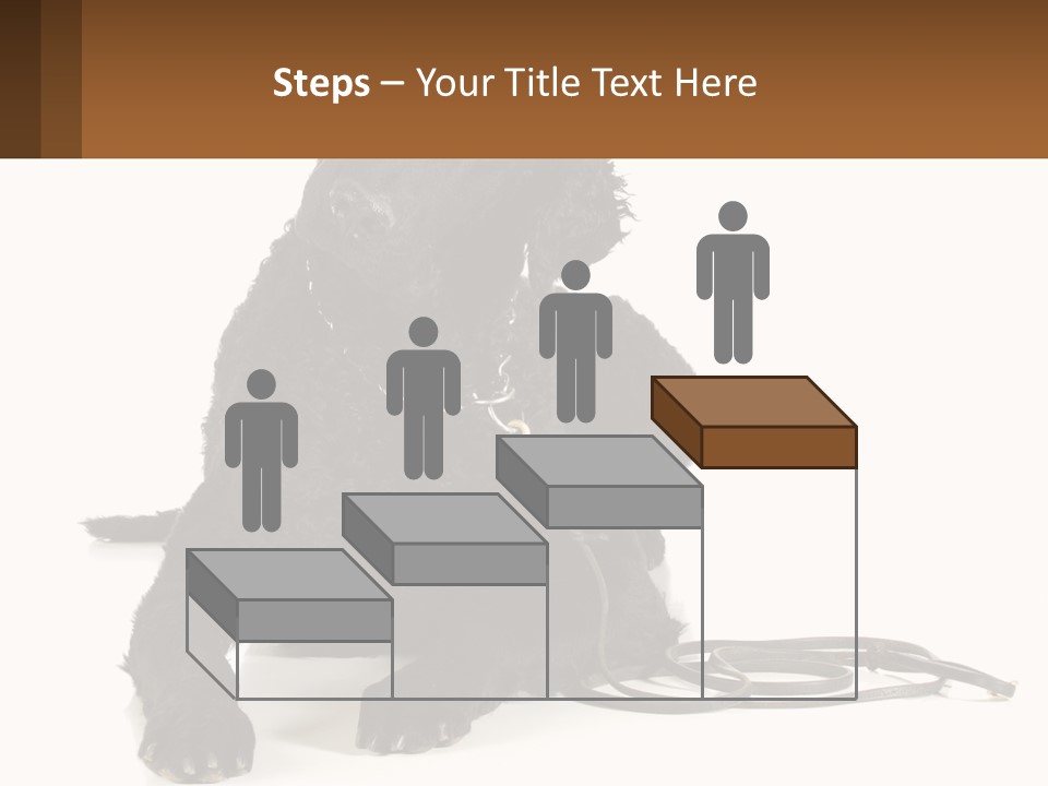 A Black Dog With A Leash On A White Background PowerPoint Template