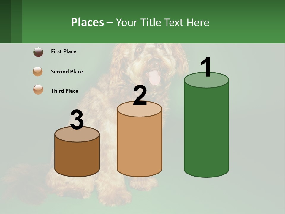 A Brown Dog Sitting On Top Of A Green Background PowerPoint Template