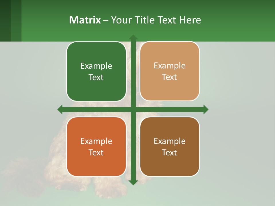 A Brown Dog Sitting On Top Of A Green Background PowerPoint Template