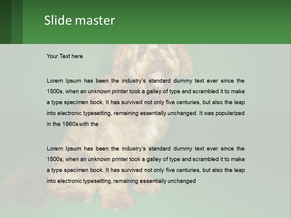 A Brown Dog Sitting On Top Of A Green Background PowerPoint Template