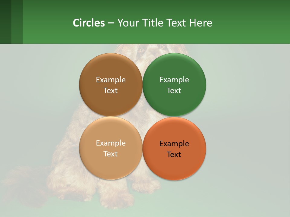 A Brown Dog Sitting On Top Of A Green Background PowerPoint Template