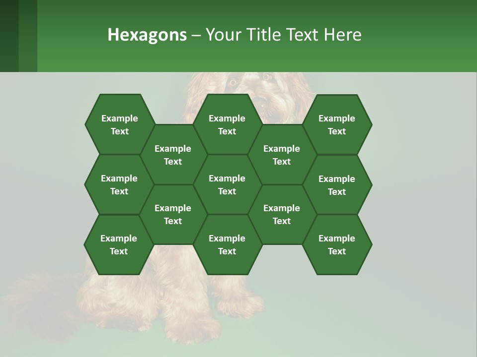 A Brown Dog Sitting On Top Of A Green Background PowerPoint Template