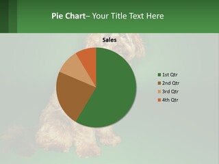 A Brown Dog Sitting On Top Of A Green Background PowerPoint Template