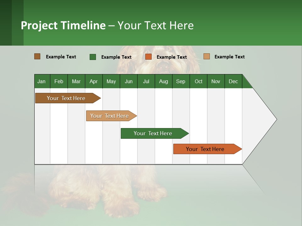 A Brown Dog Sitting On Top Of A Green Background PowerPoint Template