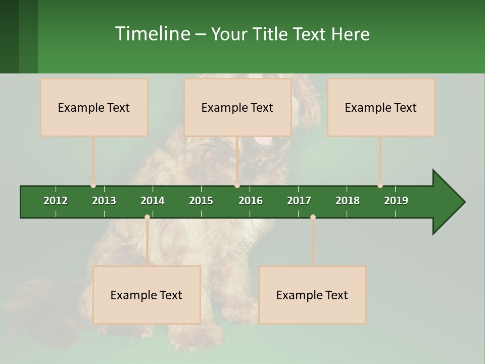 A Brown Dog Sitting On Top Of A Green Background PowerPoint Template