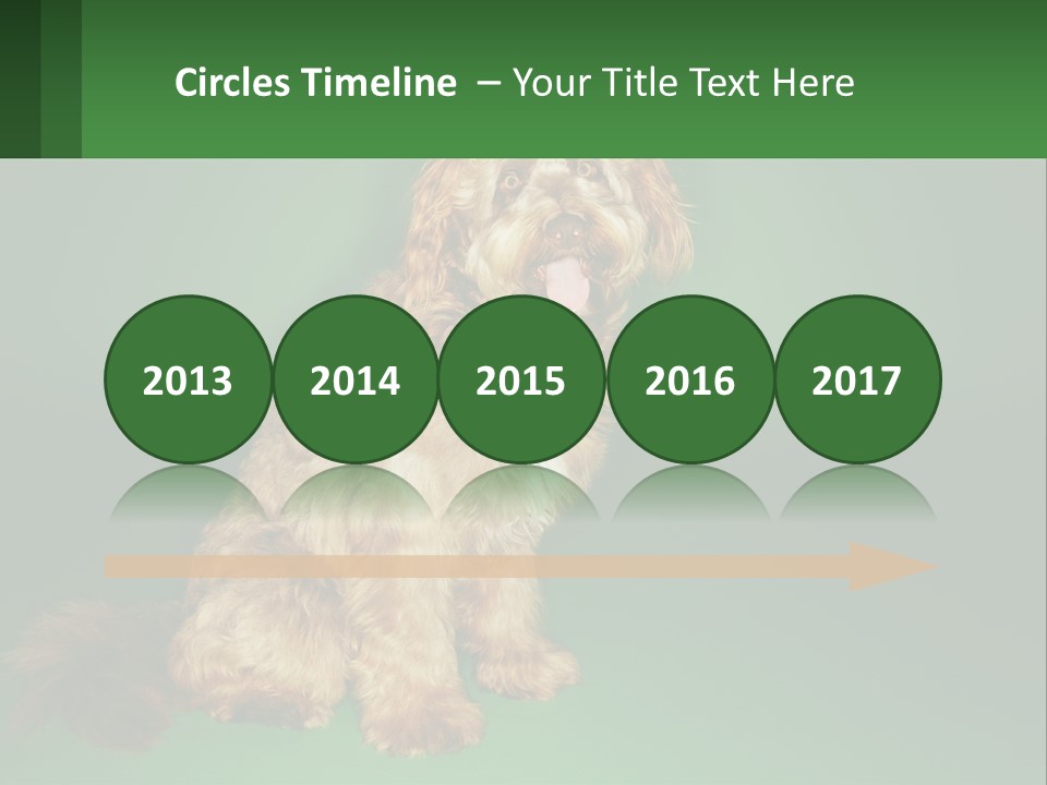 A Brown Dog Sitting On Top Of A Green Background PowerPoint Template