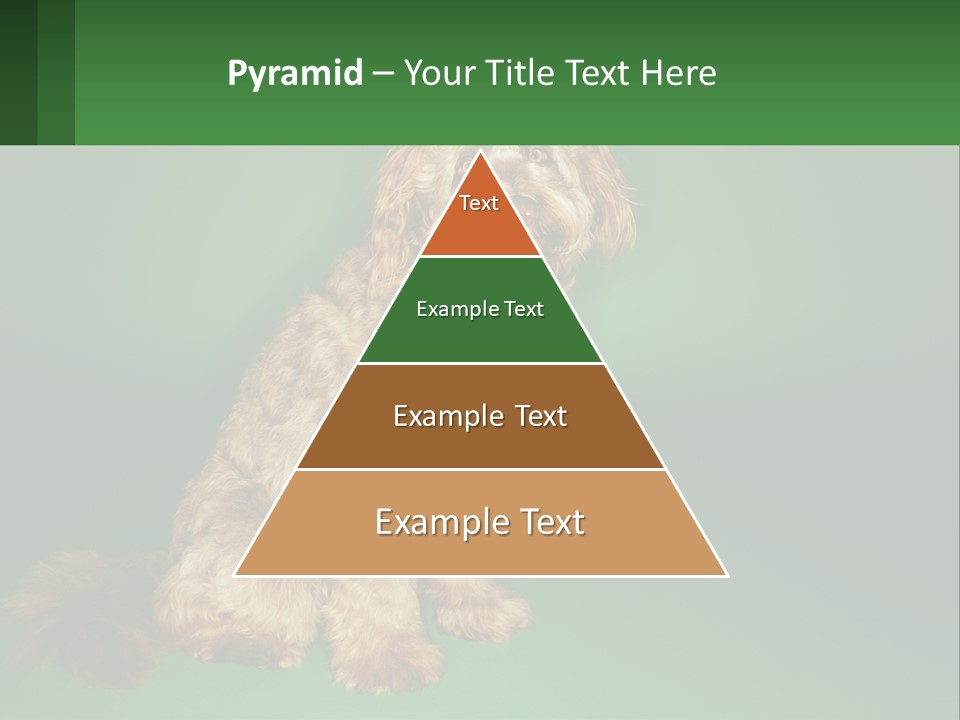 A Brown Dog Sitting On Top Of A Green Background PowerPoint Template