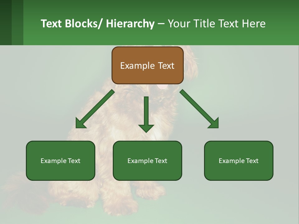 A Brown Dog Sitting On Top Of A Green Background PowerPoint Template