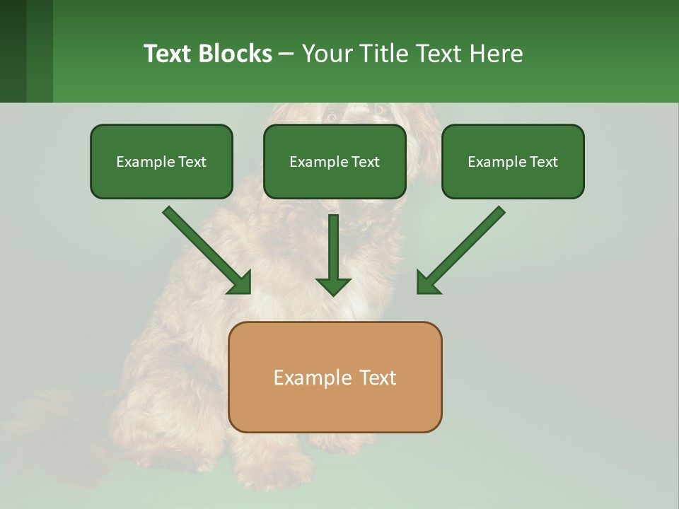 A Brown Dog Sitting On Top Of A Green Background PowerPoint Template