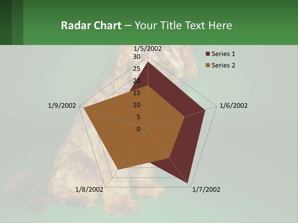 A Brown Dog Sitting On Top Of A Green Background PowerPoint Template