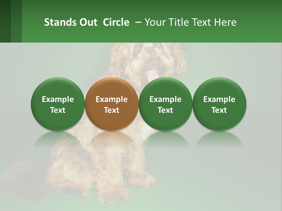 A Brown Dog Sitting On Top Of A Green Background PowerPoint Template