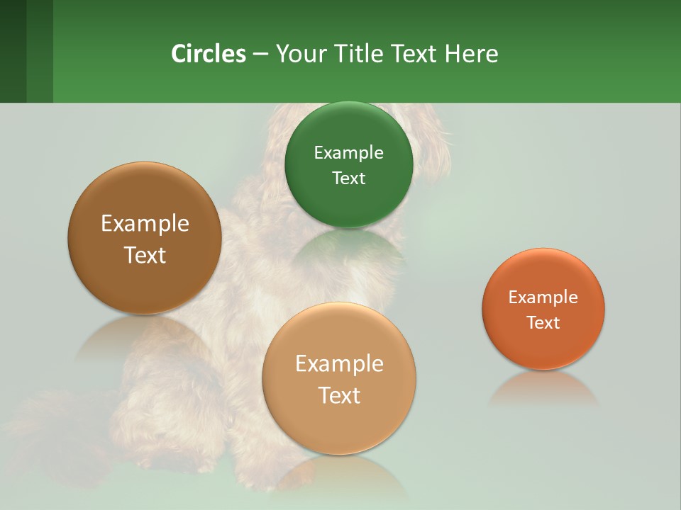 A Brown Dog Sitting On Top Of A Green Background PowerPoint Template