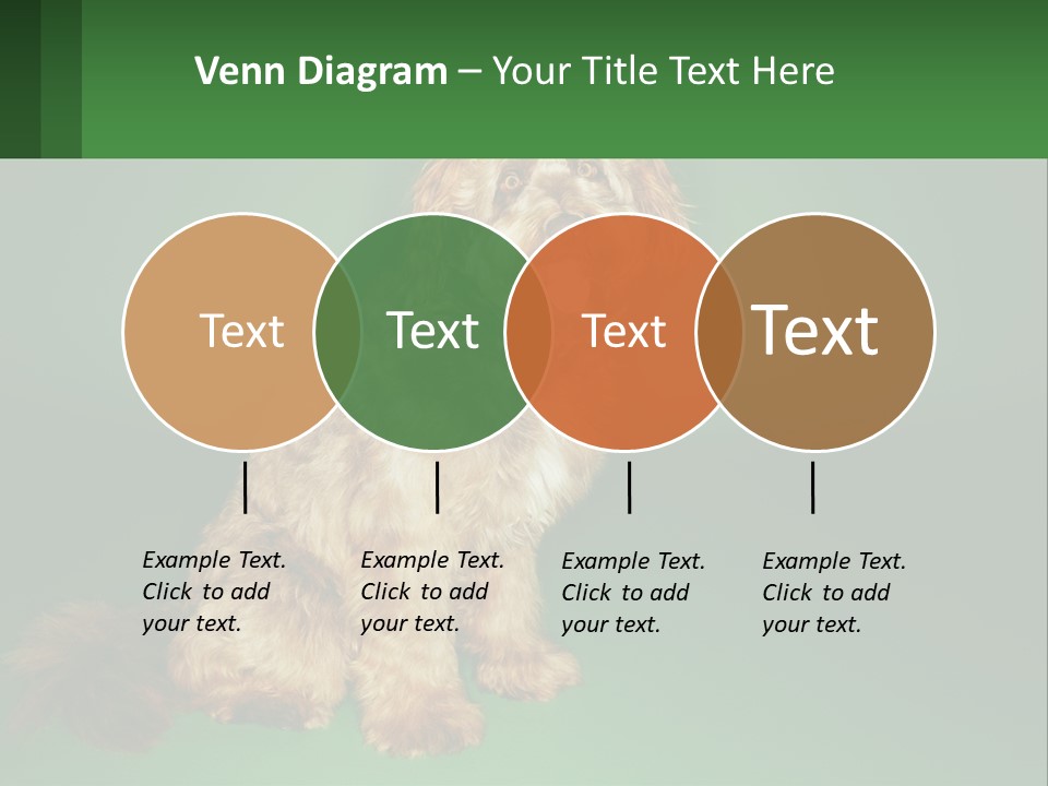 A Brown Dog Sitting On Top Of A Green Background PowerPoint Template