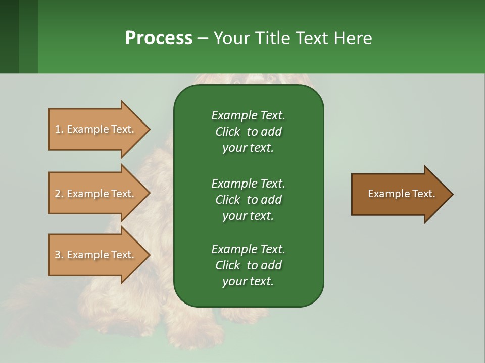 A Brown Dog Sitting On Top Of A Green Background PowerPoint Template