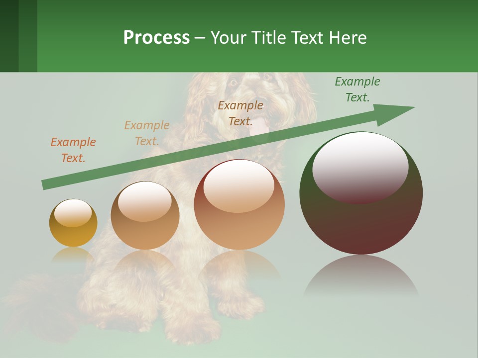 A Brown Dog Sitting On Top Of A Green Background PowerPoint Template