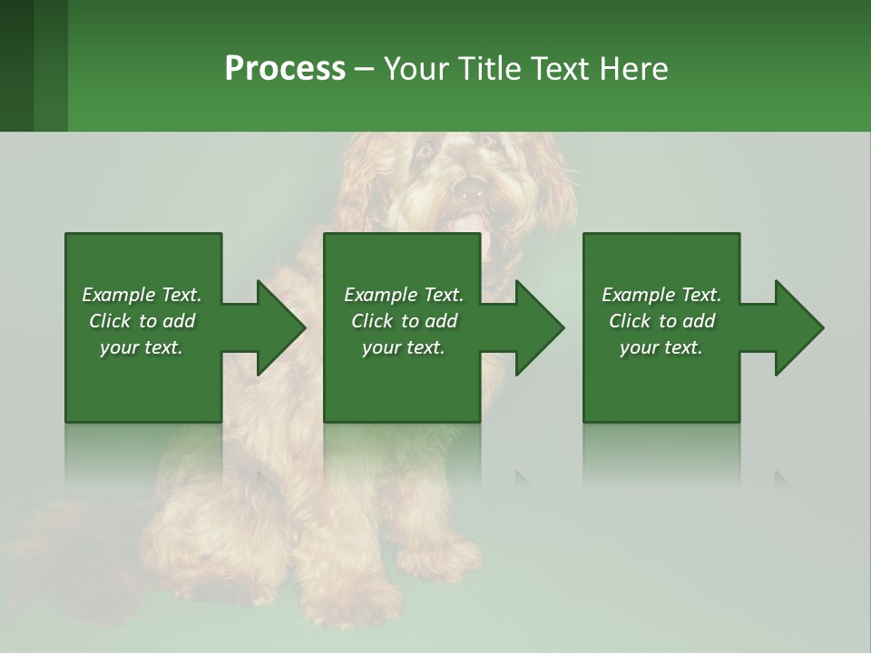A Brown Dog Sitting On Top Of A Green Background PowerPoint Template