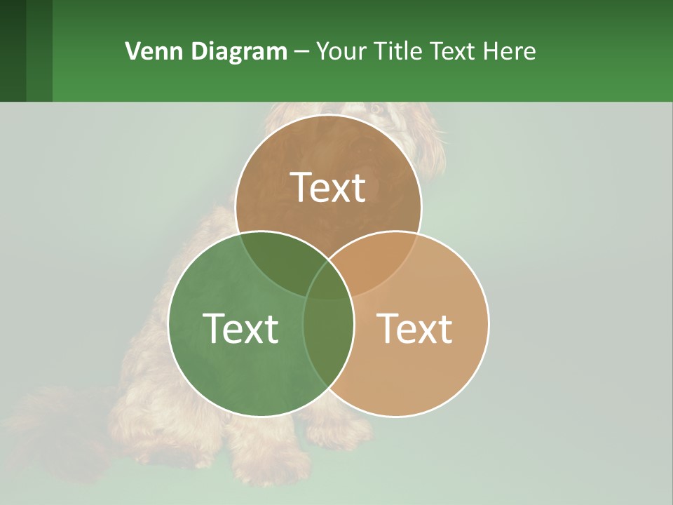 A Brown Dog Sitting On Top Of A Green Background PowerPoint Template