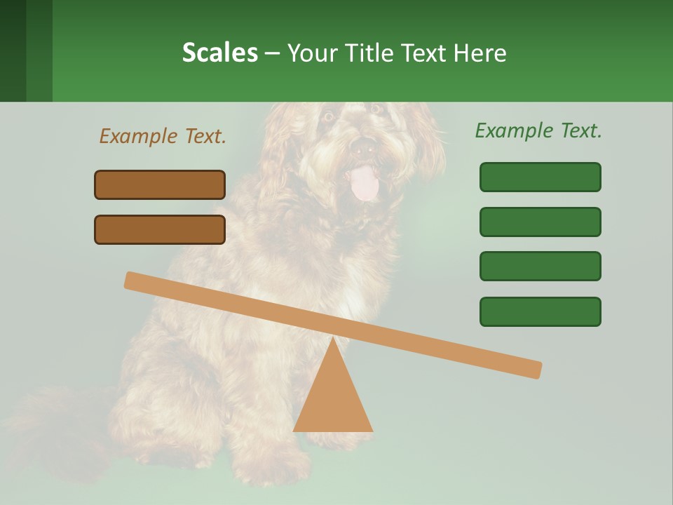 A Brown Dog Sitting On Top Of A Green Background PowerPoint Template