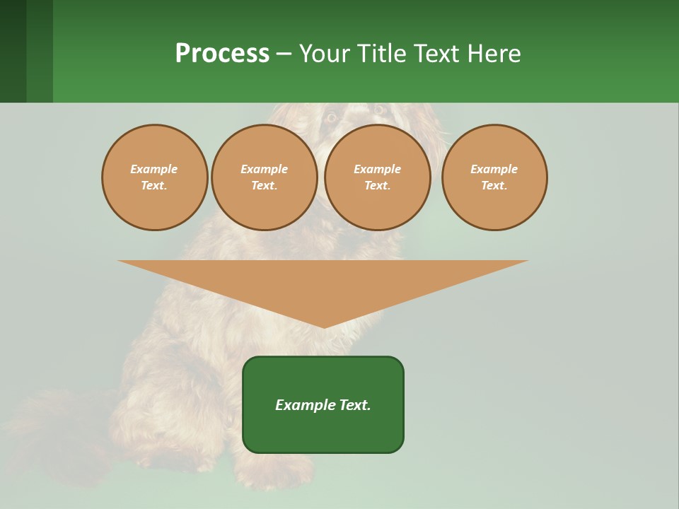A Brown Dog Sitting On Top Of A Green Background PowerPoint Template