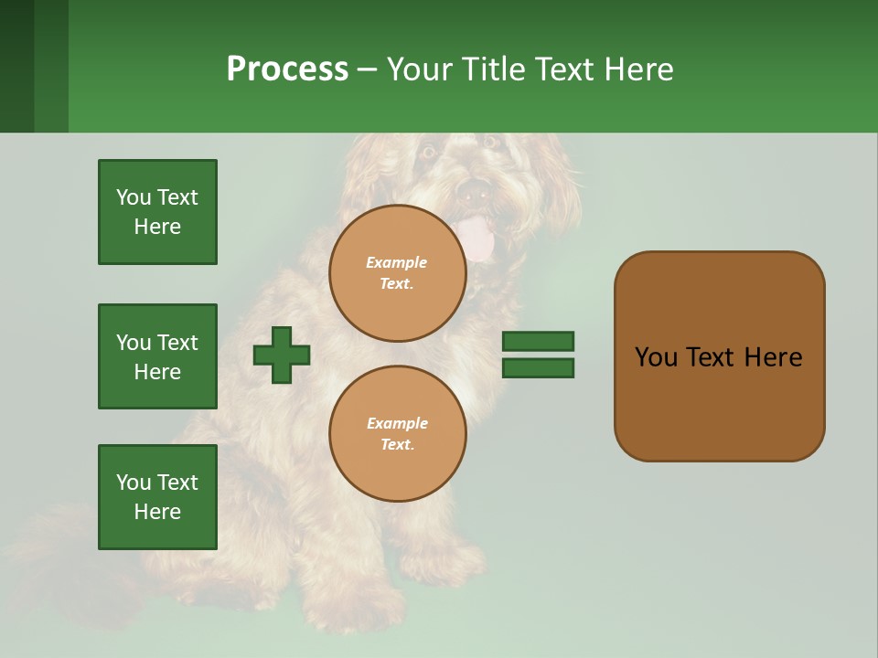 A Brown Dog Sitting On Top Of A Green Background PowerPoint Template