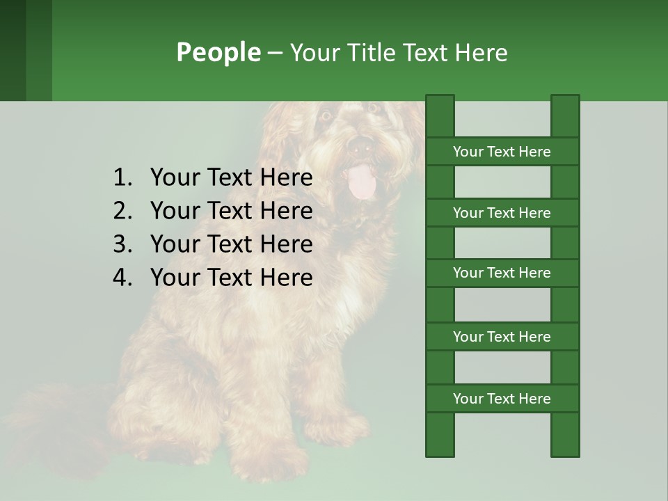 A Brown Dog Sitting On Top Of A Green Background PowerPoint Template
