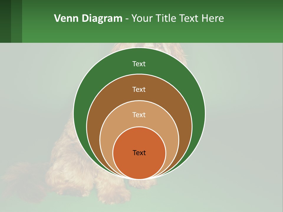 A Brown Dog Sitting On Top Of A Green Background PowerPoint Template